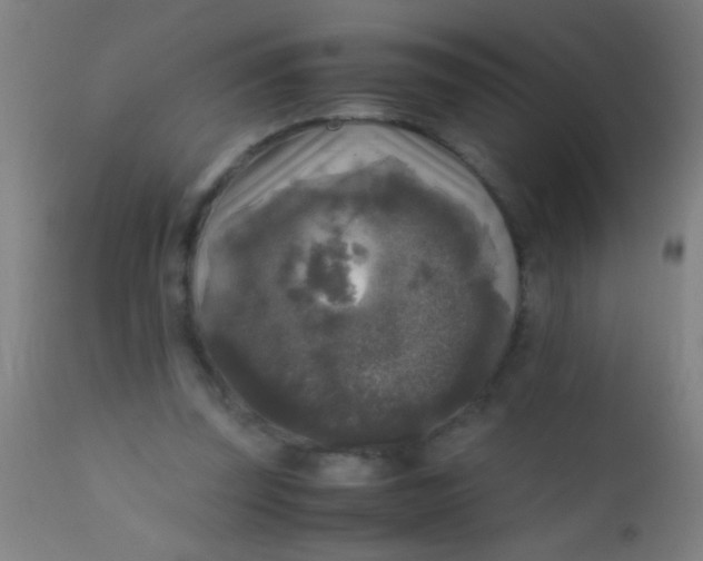 X0000110710347200907022028