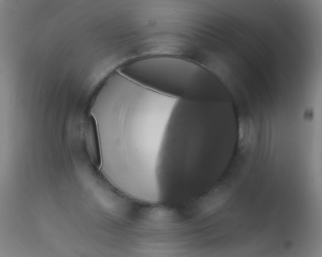 X0000110710348200907022028