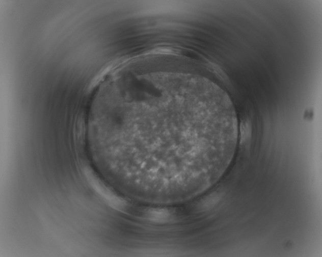 X0000110710349200907022028