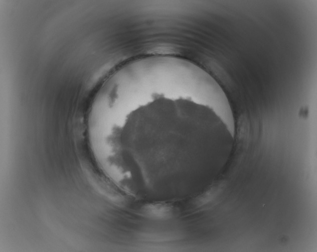 X0000110710351200907022028