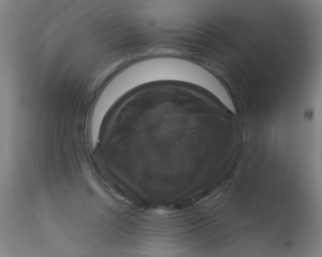 X0000110710352200907022028