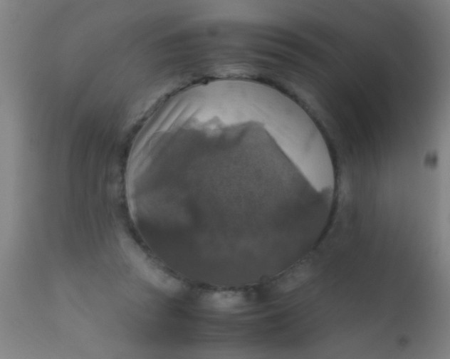 X0000110710353200907022028