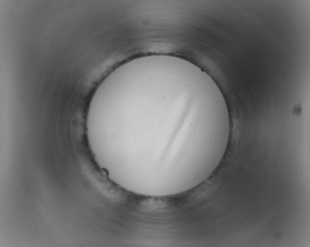 X0000110710354200907022028