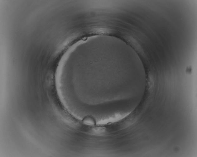 X0000110710355200907022028