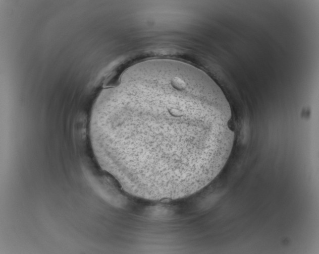 X0000110710356200907022028