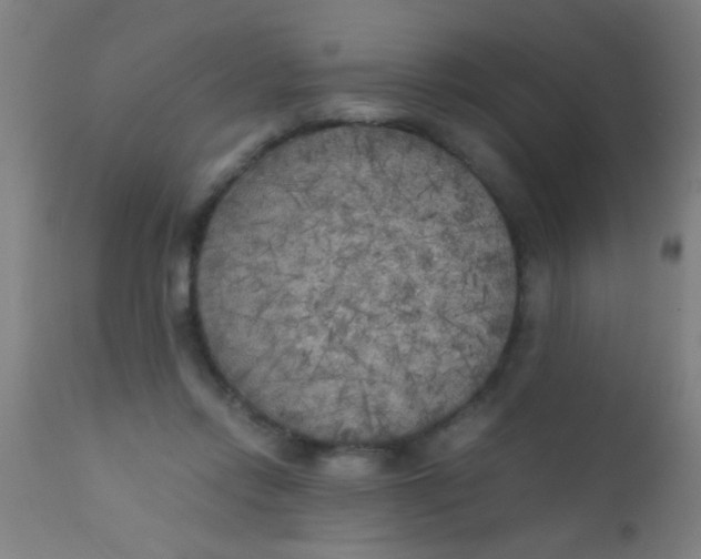 X0000110710358200907022028