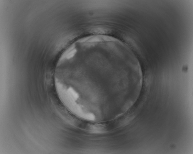 X0000110710359200907022028