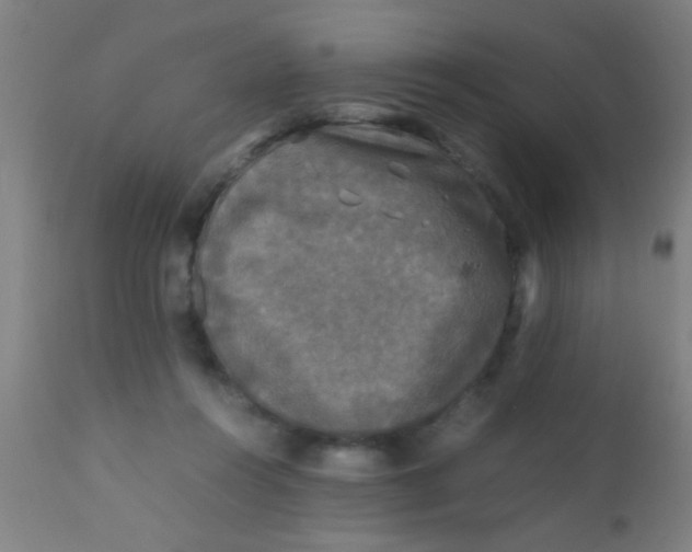 X0000110710360200907022028