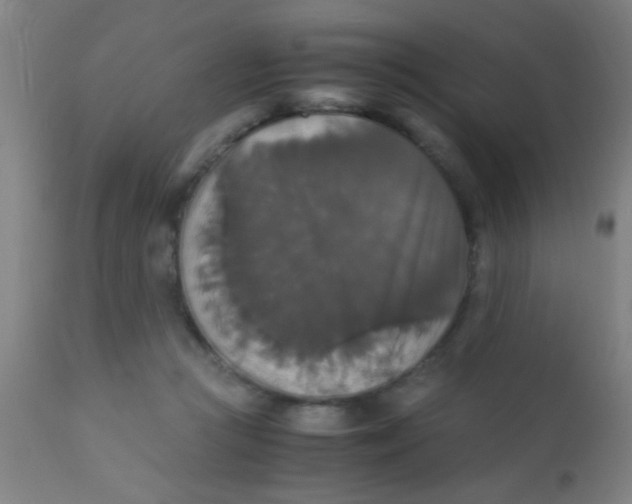 X0000110710361200907022028