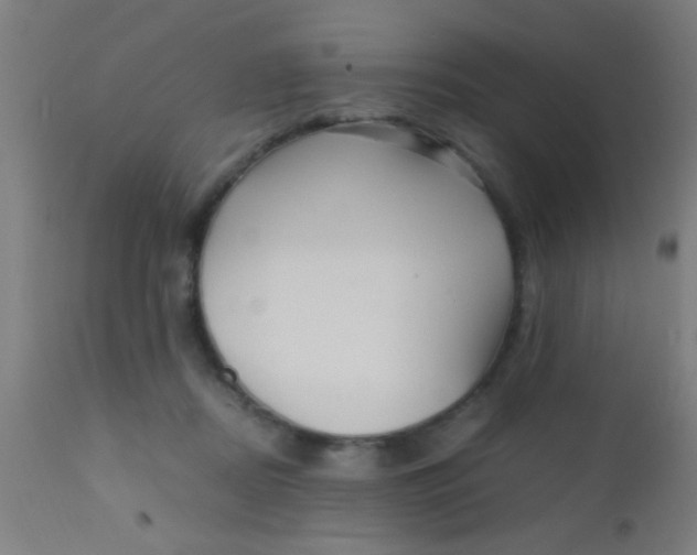 X0000110710362200907022028