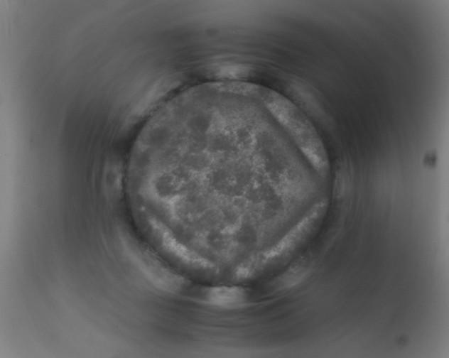 X0000110710363200907022028