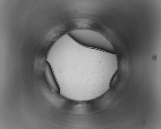 X0000110710364200907022028