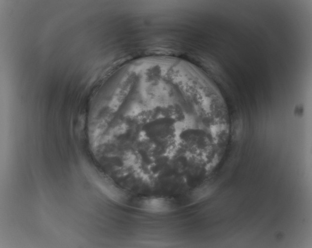 X0000110710365200907022028