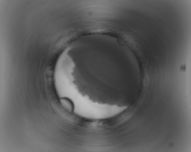 X0000110710366200907022028