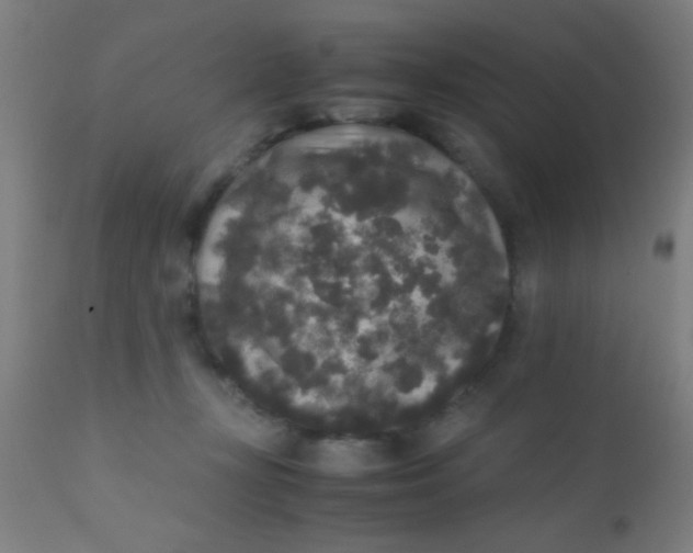 X0000110710367200907022028