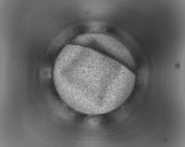 X0000110710368200907022028