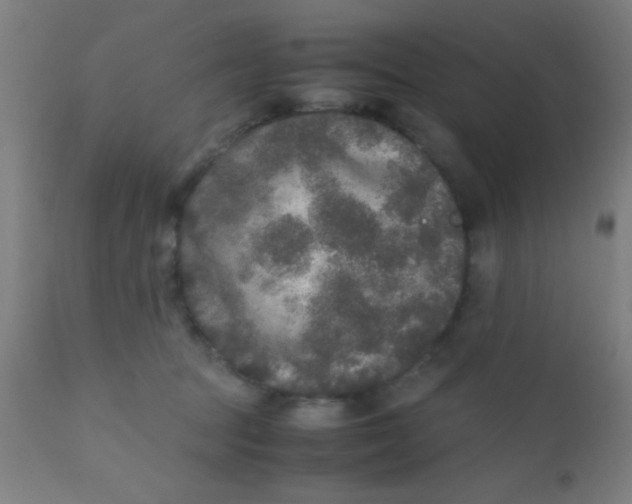 X0000110710369200907022028