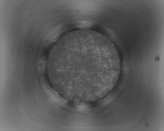 X0000110710370200907022028