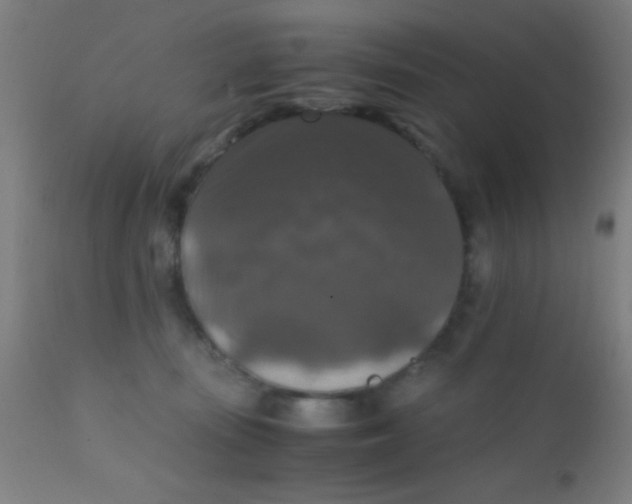 X0000110710371200907022028