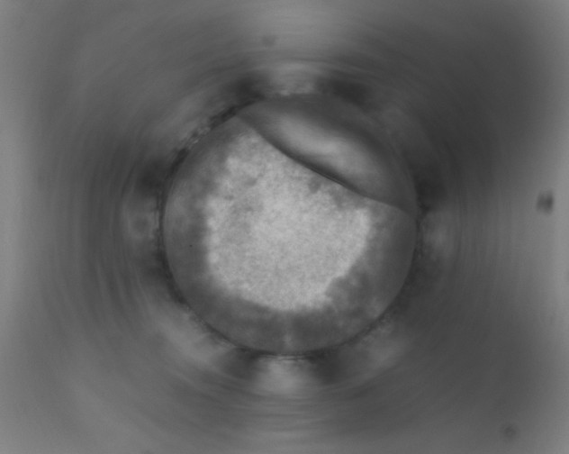 X0000110710372200907022029