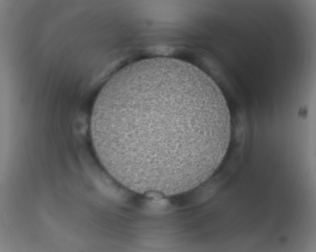 X0000110710374200907022029