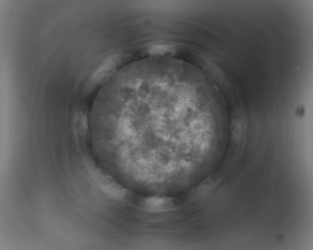 X0000110710375200907022029