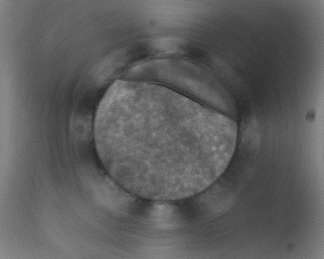 X0000110710376200907022029