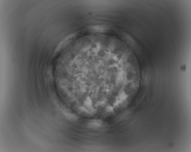 X0000110710377200907022029