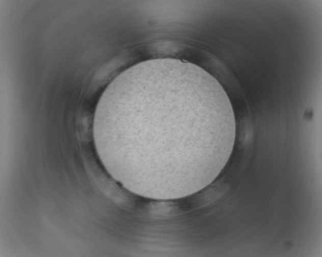 X0000110710378200907022029