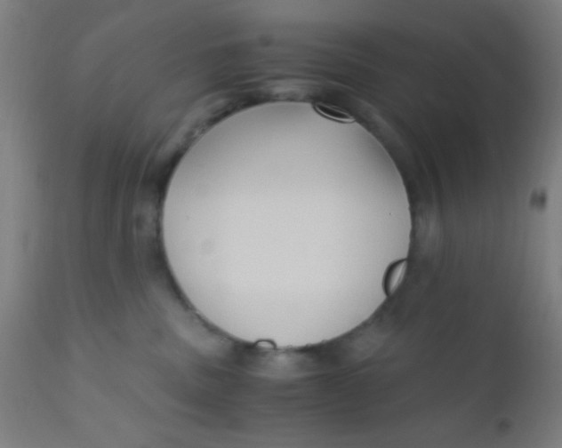 X0000110710379200907022029