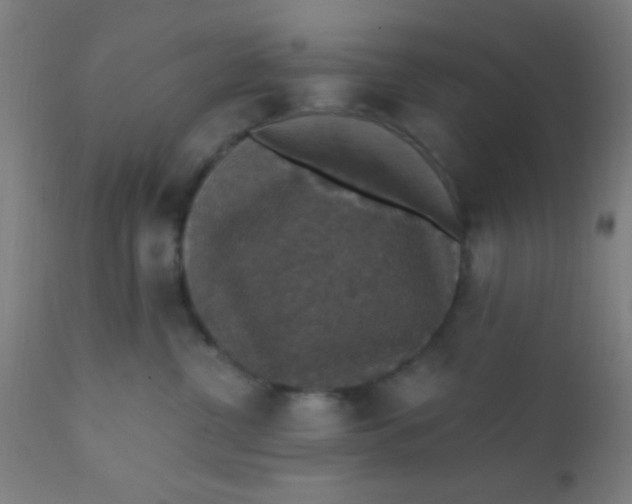 X0000110710380200907022029