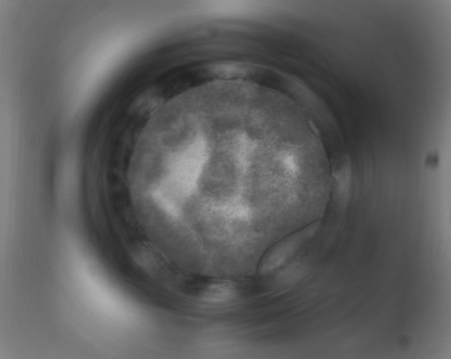 X0000110710381200907022029