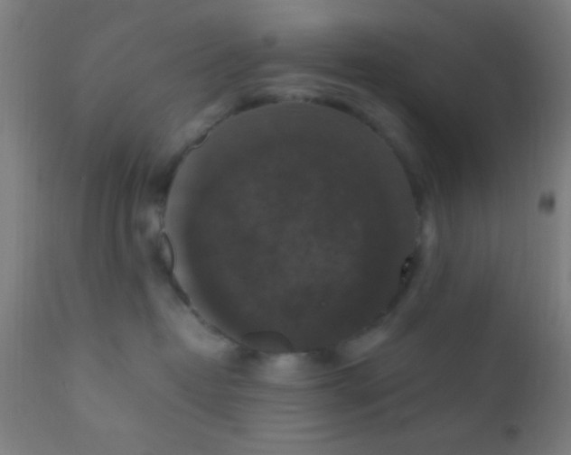 X0000110710382200907022029