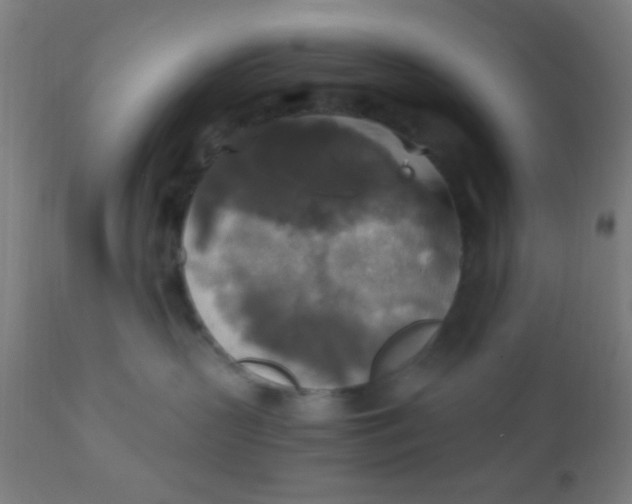 X0000110710383200907022029