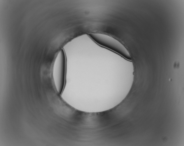 X0000110710384200907022029