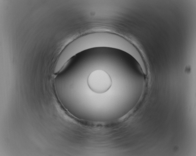 X0000110710385200907022028