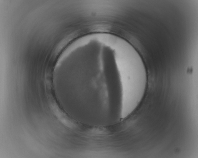 X0000110710386200907022028