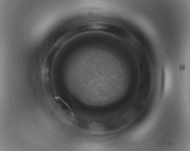 X0000110710387200907022028