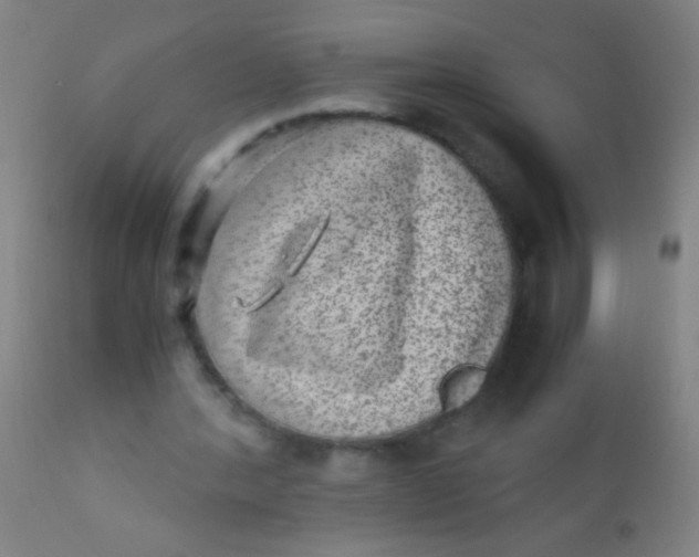 X0000110710388200907022028