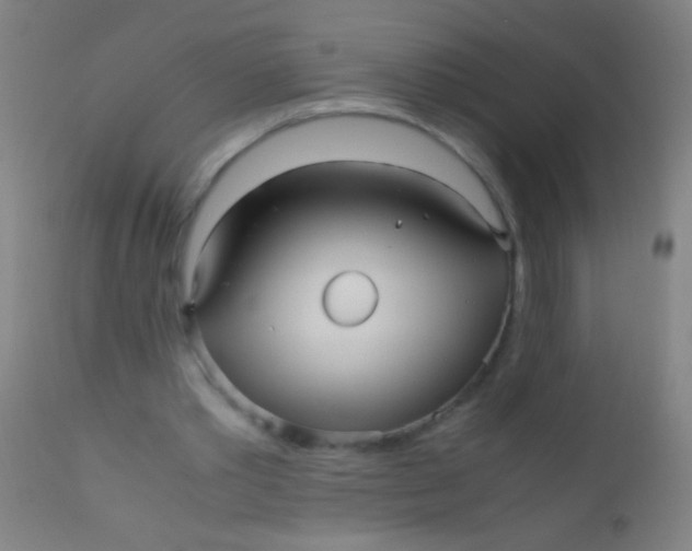 X0000110710389200907022028