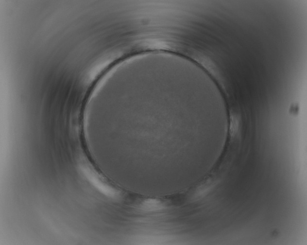 X0000110710390200907022028