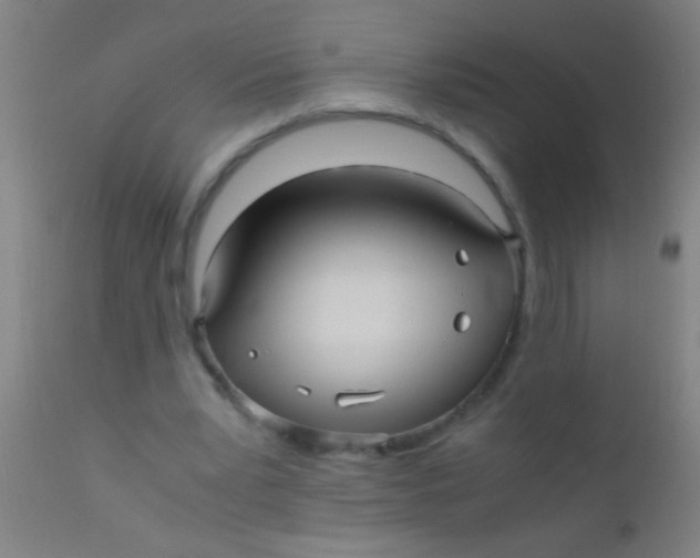 X0000110710391200907022028