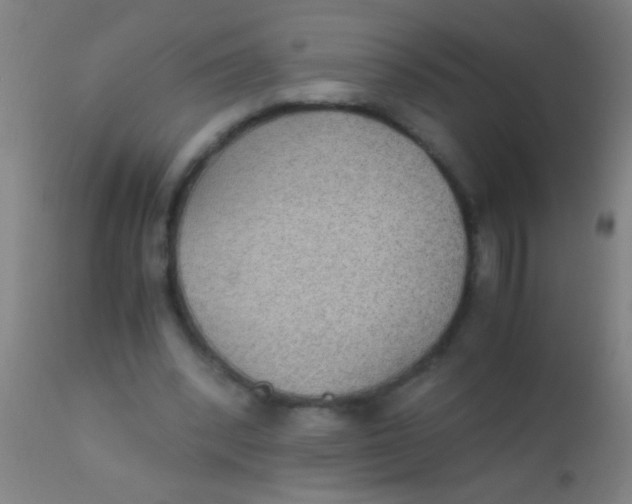 X0000110710392200907022028