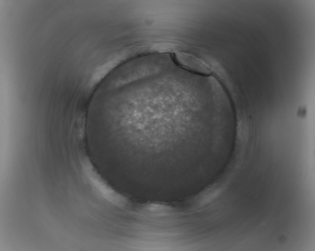 X0000110710393200907022028