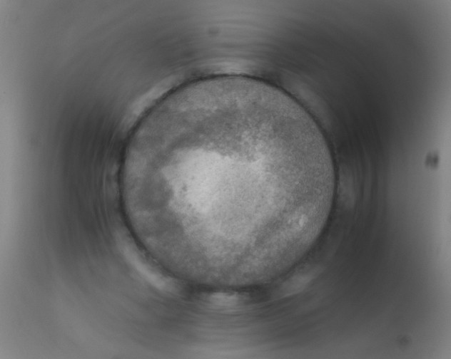 X0000110710394200907022028