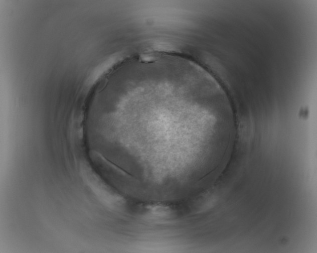 X0000110710395200907022028