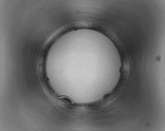 X0000110710396200907022028