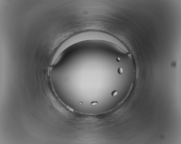 X0000110710397200907022028