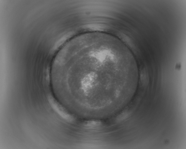 X0000110710398200907022028