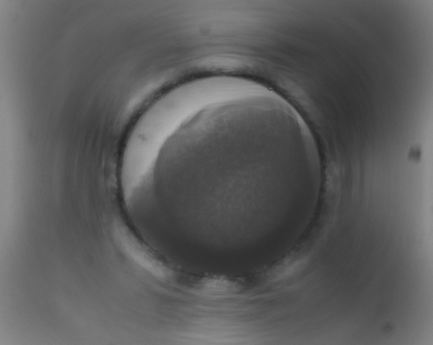 X0000110710399200907022028